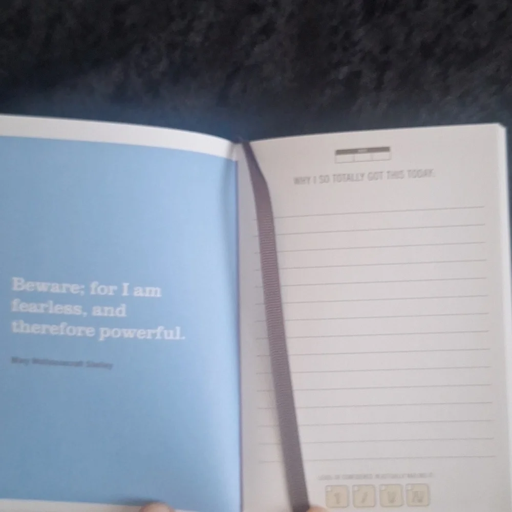 I Totally Got This Mini Inner-Truth Journal by Knock Knock